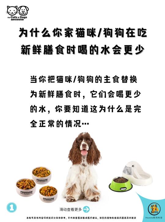 为什么你家宠物在吃新鲜膳食时喝的水会更少