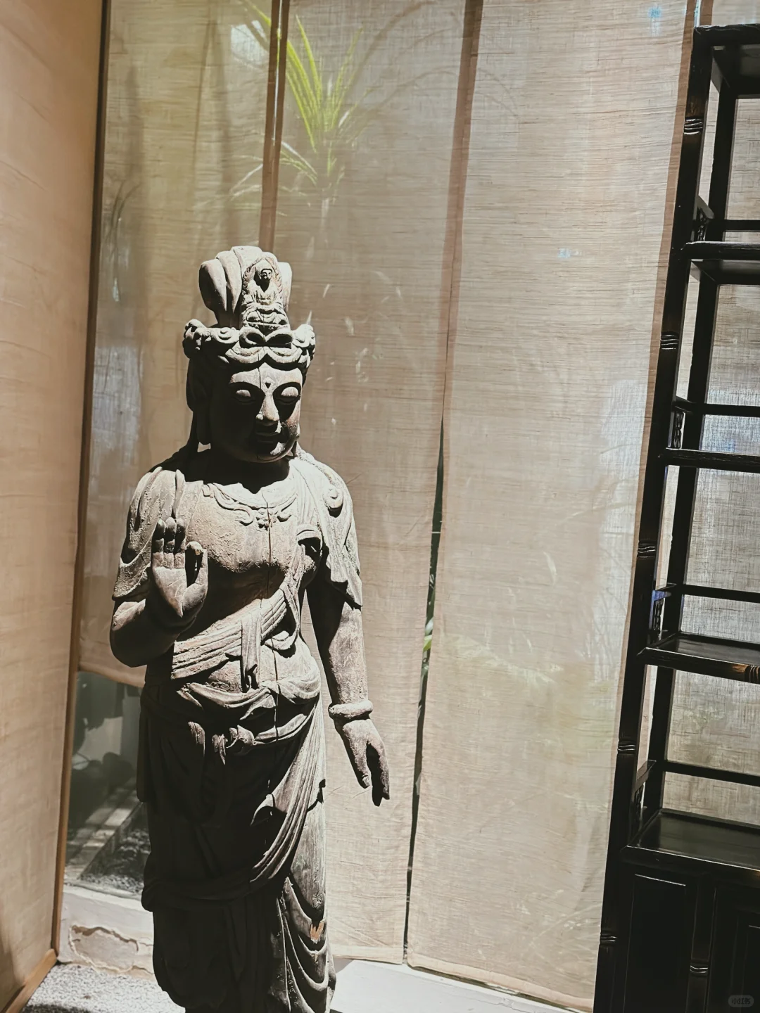 人与人是有磁场的，我不再用力走向任何人。