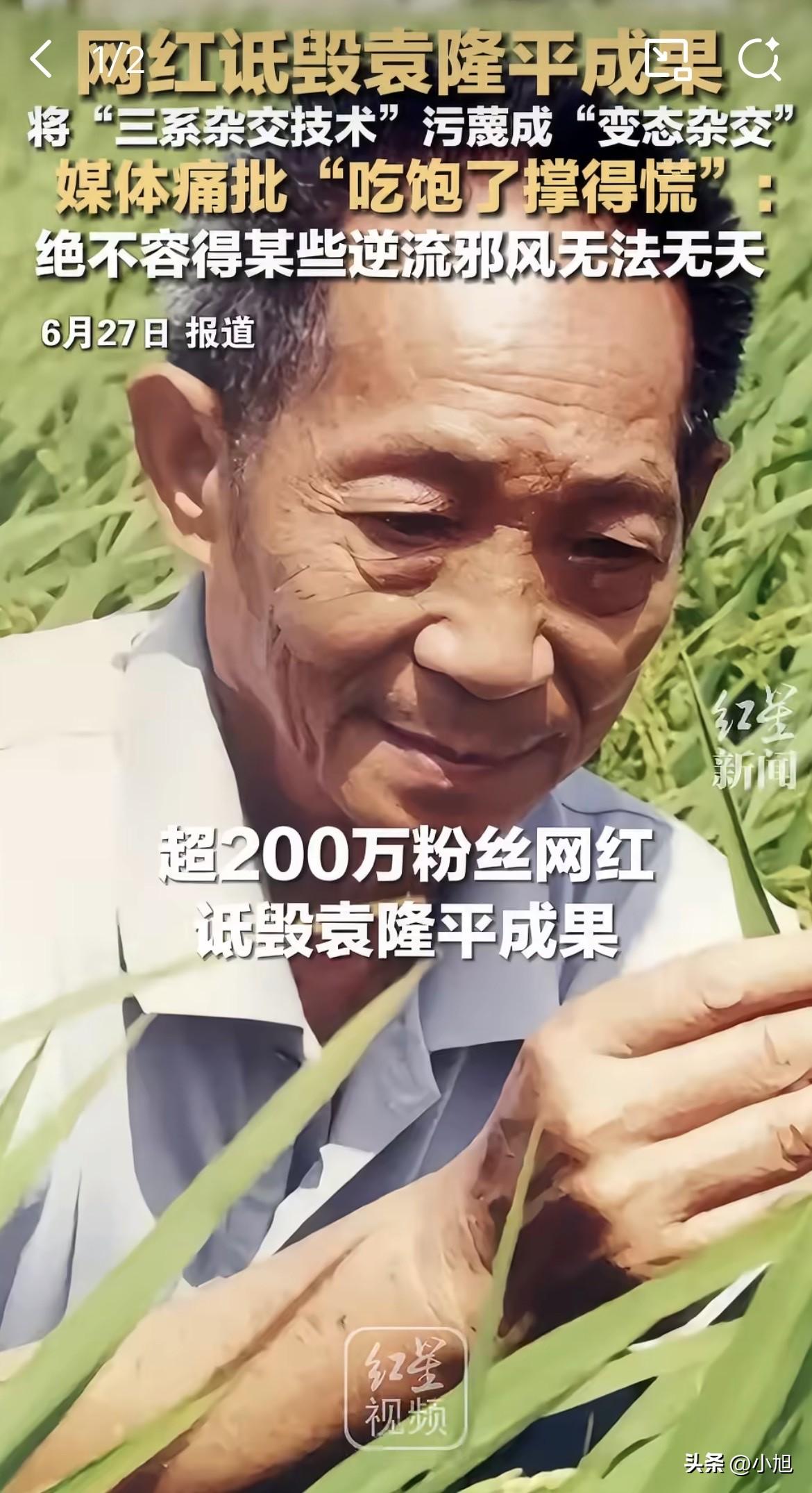 6月28号上午，这个200万粉的农业网红还在开直播。

网友涌进来骂他。

他盯