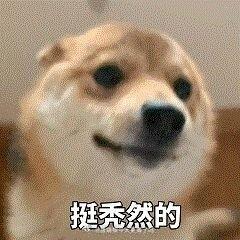 前阵子涨得最凶的几个币，今天集体扑街。牛来、PONS、SOPH一个没扛住，接连跳