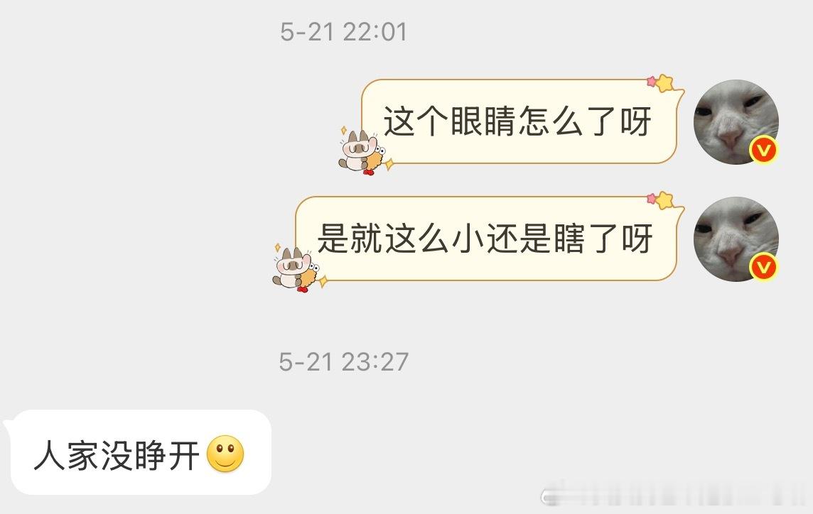 【非】这确实太小了呀！ 