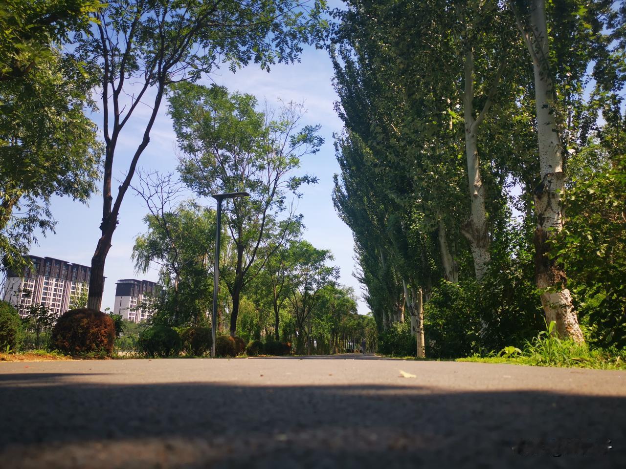 坐标阜新，最近都闻到啥味道没有。以前也就是半夜的时候闻到一股药味，一股农药的味道