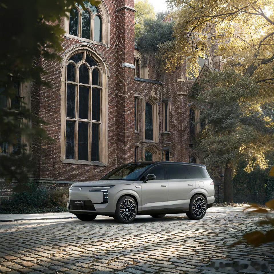 腾势N8L终于 上市啦～前两天在北京终于开上N8L了，腾势的大六座最大的优势我个