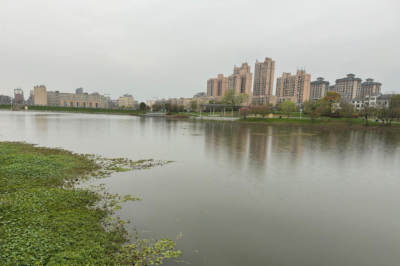 母亲总是时而清楚时而糊涂。

前日中午11:30左右就去接母亲去医院透析。傍晚5