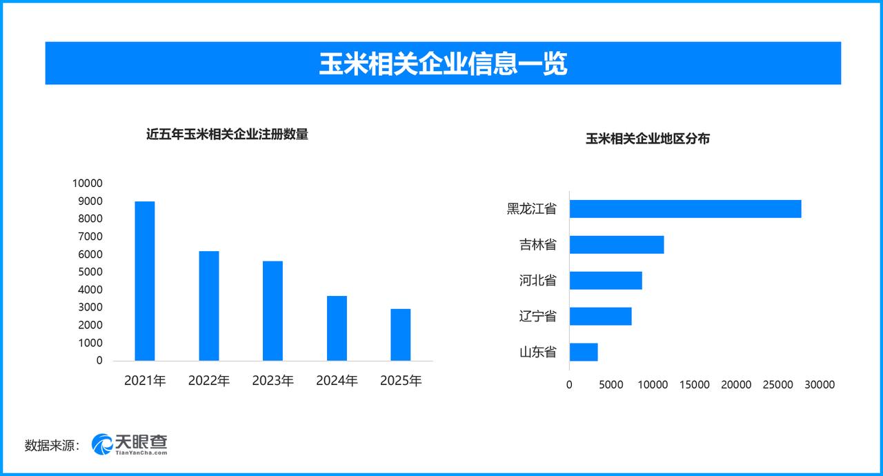 鲜食玉米品种“选美”开赛，现存玉米相关企业超8.2万家

第十二届中国北方鲜食玉