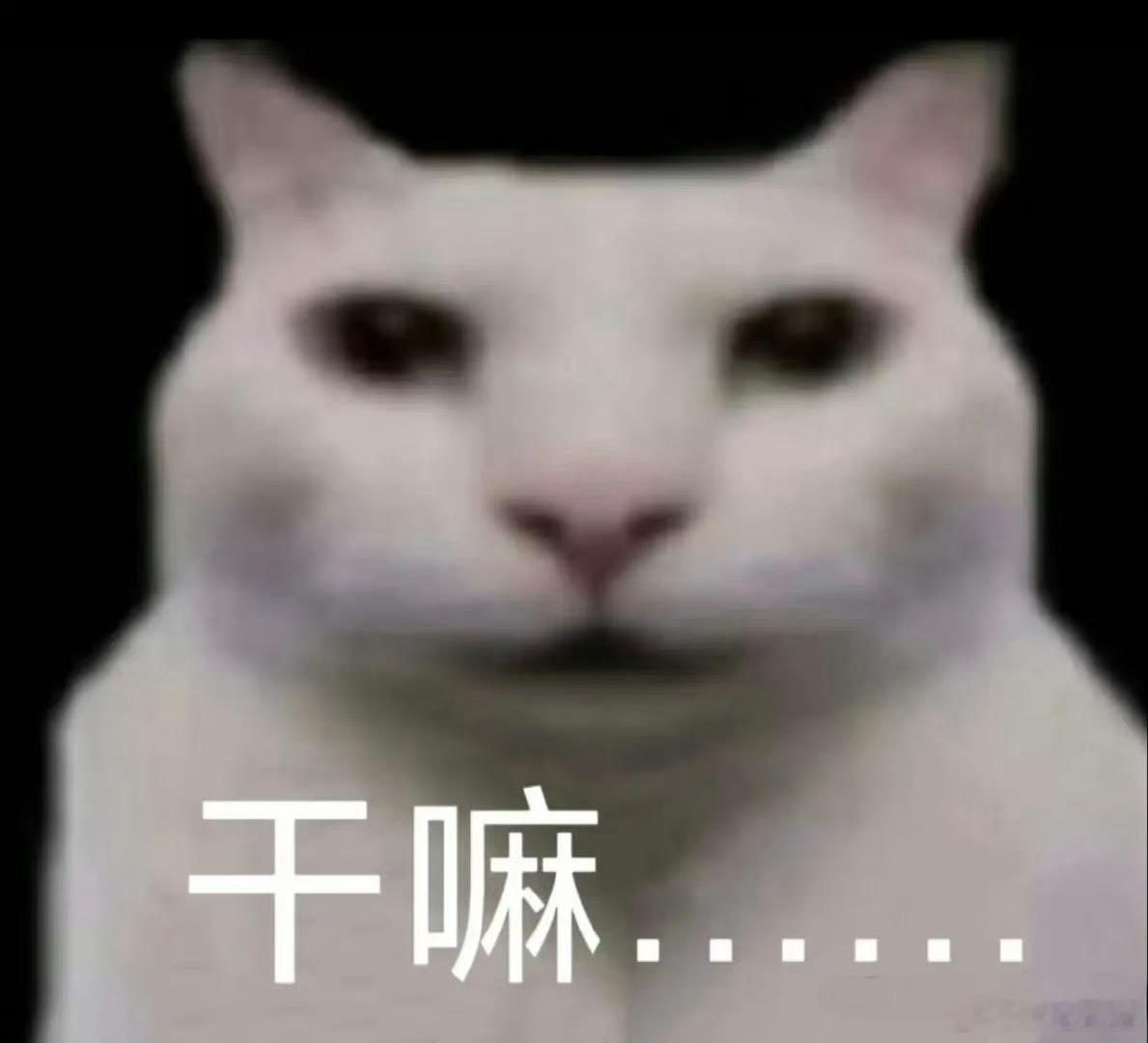 林七夜 就很.....你懂吧 