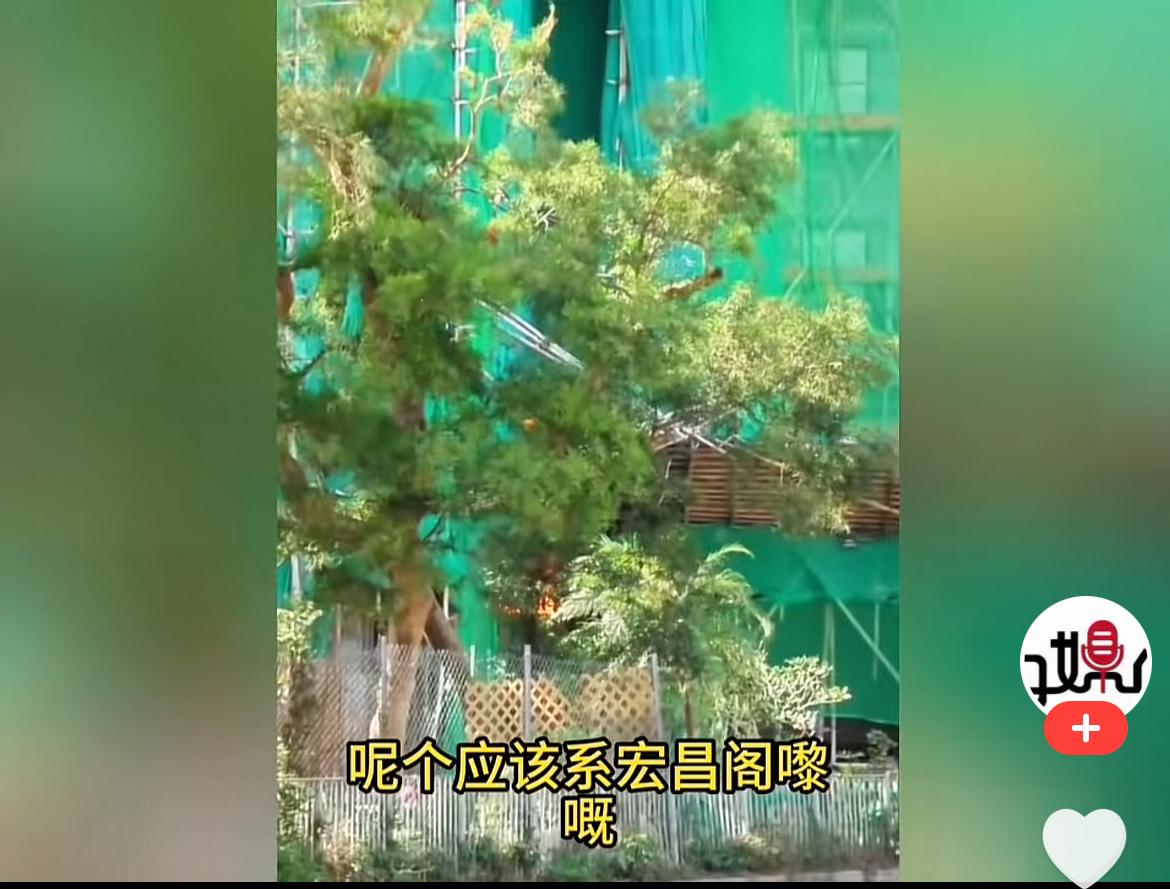 谁能想到，
原本只是一个小小的起火点，
在短短的几秒钟就迅速的蔓延开了，现场报警