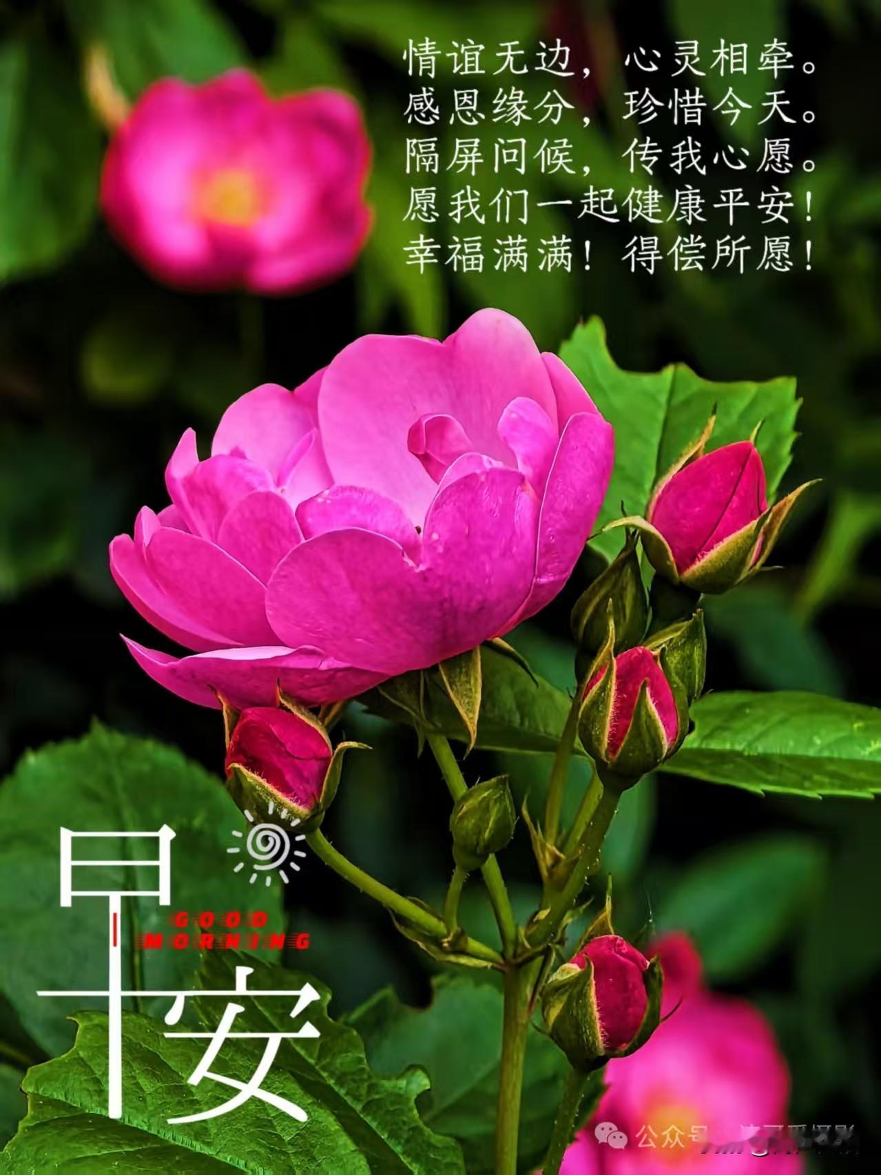 《五律·寄怀》
 
人生清似画，
彼此久牵瑕。
暖语藏心腑，
良言寄岁华。
相逢