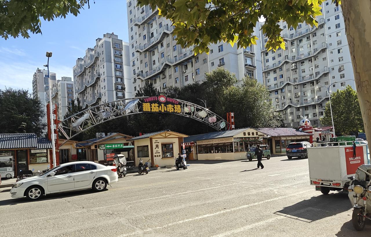 楼上74岁拾荒老何头今早差点在电褥子上把自个儿交代了。

电褥子是前些天翻垃圾桶