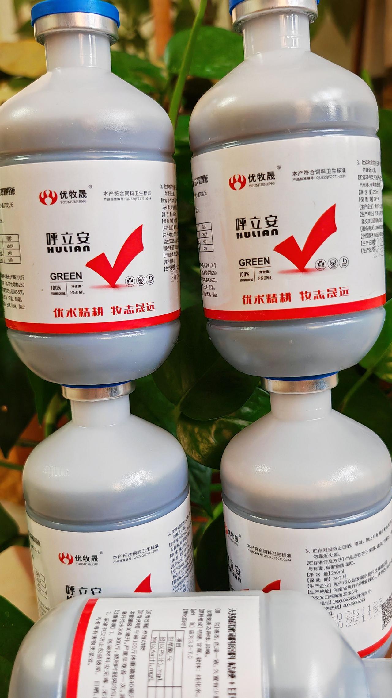 养羊人 农村养羊