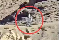 有印度媒体渲染称：“中国部署的边境执勤机器人可能被印度士兵抱走研究！”而中国边防