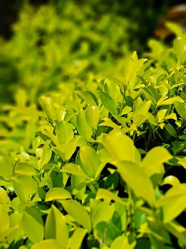 有钱的人你应该想着，还有很多没有钱的人。没有钱的人，你应该想着，还有很多得病的人