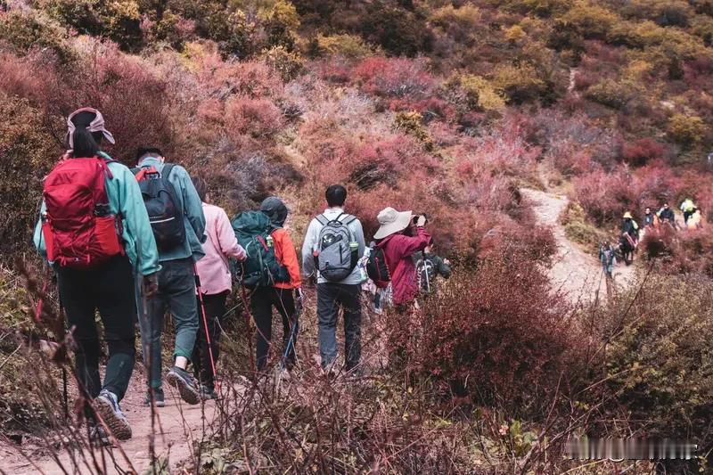 23岁，硕士研究生，本应有着无限可能的未来，却在一次徒步中猝死，而事发地还是封闭