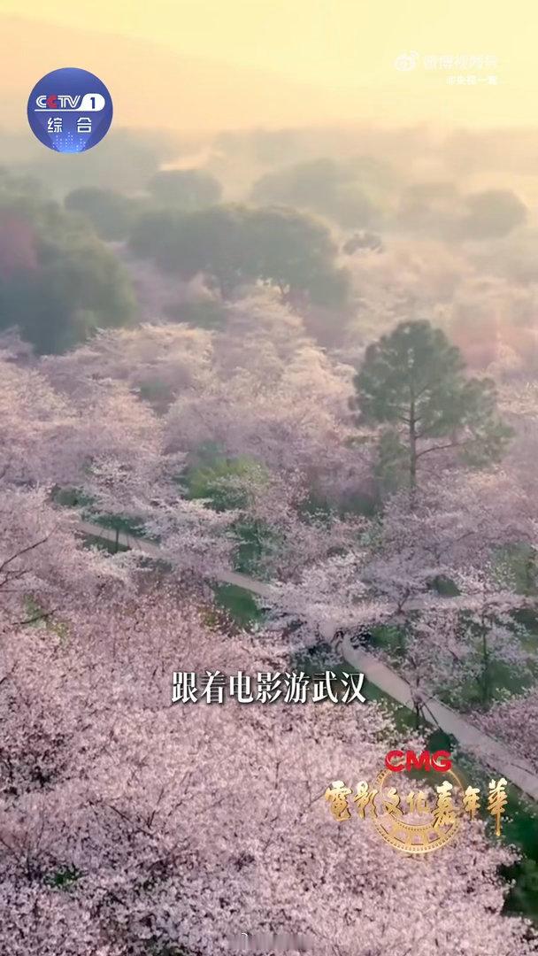 电影文化嘉年华夏日来武汉邂逅中国电影 武汉八月要被电影迷挤爆了！总台这场嘉年华太