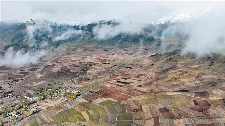 以下是一些今日的新闻：
 
国内新闻
 
2026年国考从10月15日起开始报名