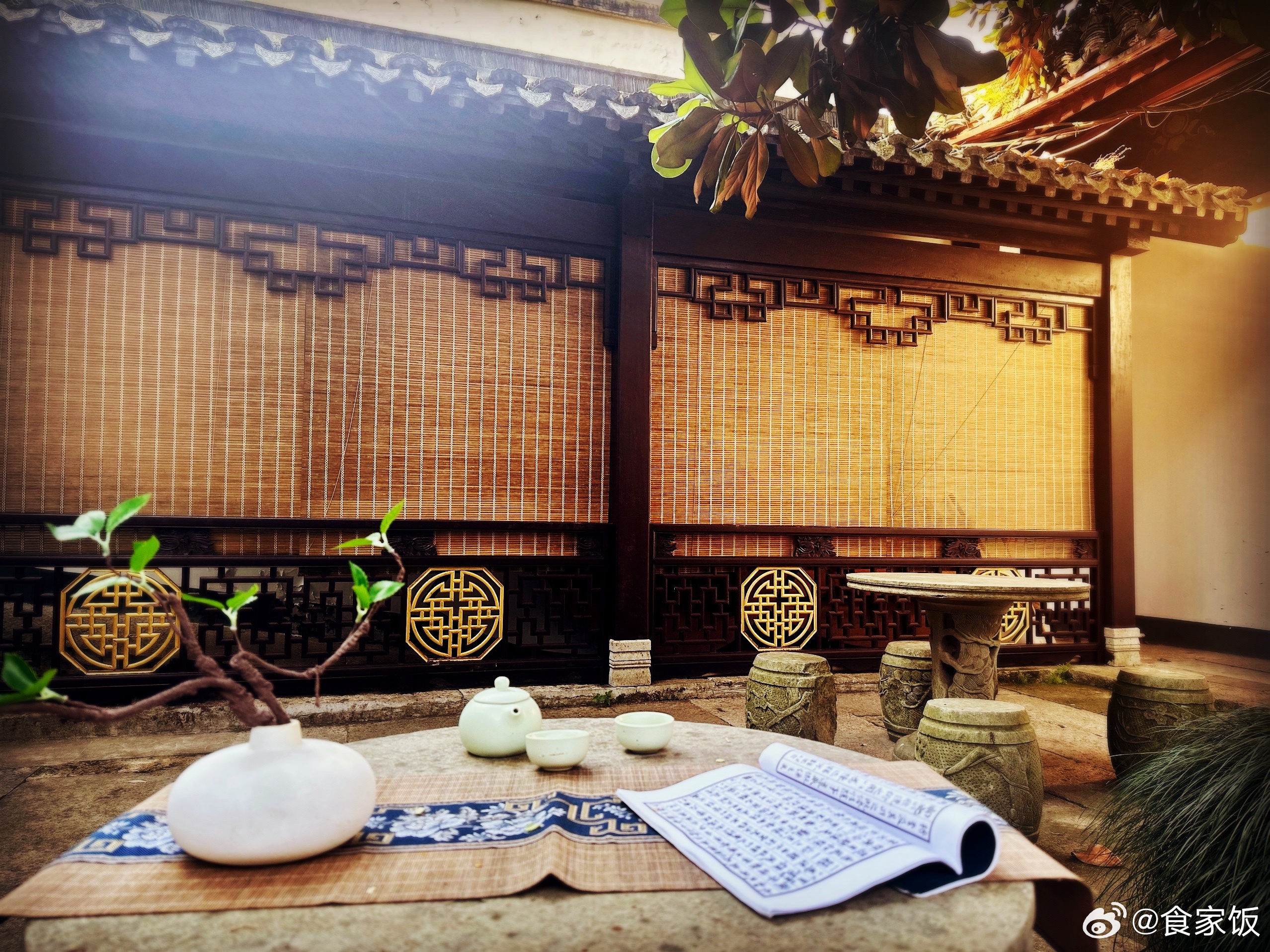 在一棵大玉兰树下坐井观天。玉兰的花谢了，淡绿色的花蕊落下来，打在肩上咚咚的响。如