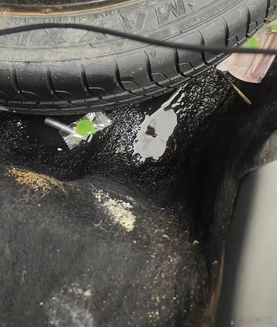 林肯MKZ车主遭遇糟心事儿，车臭一年多，杀菌+3瓶香水都没用，加装360影像才发