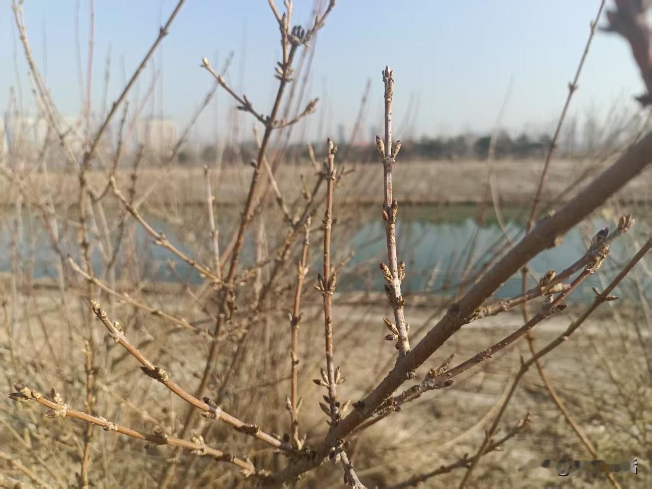 梁东方
撒网捕鱼的之外，垂钓的人就更多了。这是很多人亲近一条河的通常方式，是好像
