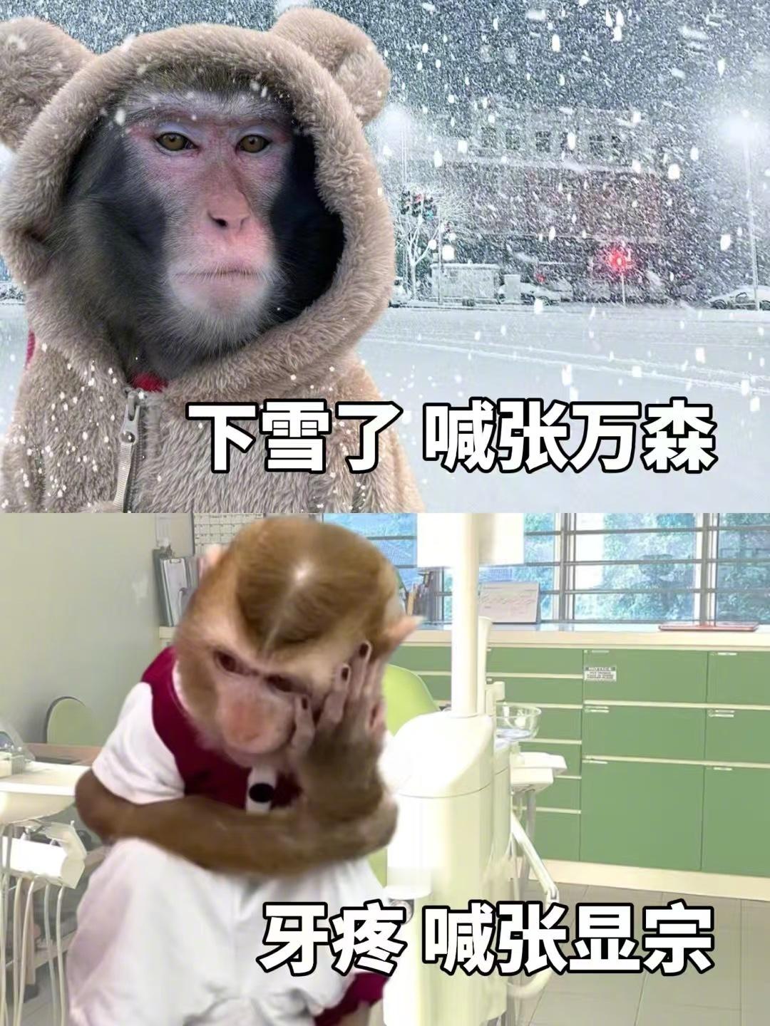 到冬天了，张家人又忙起来了[二哈] 