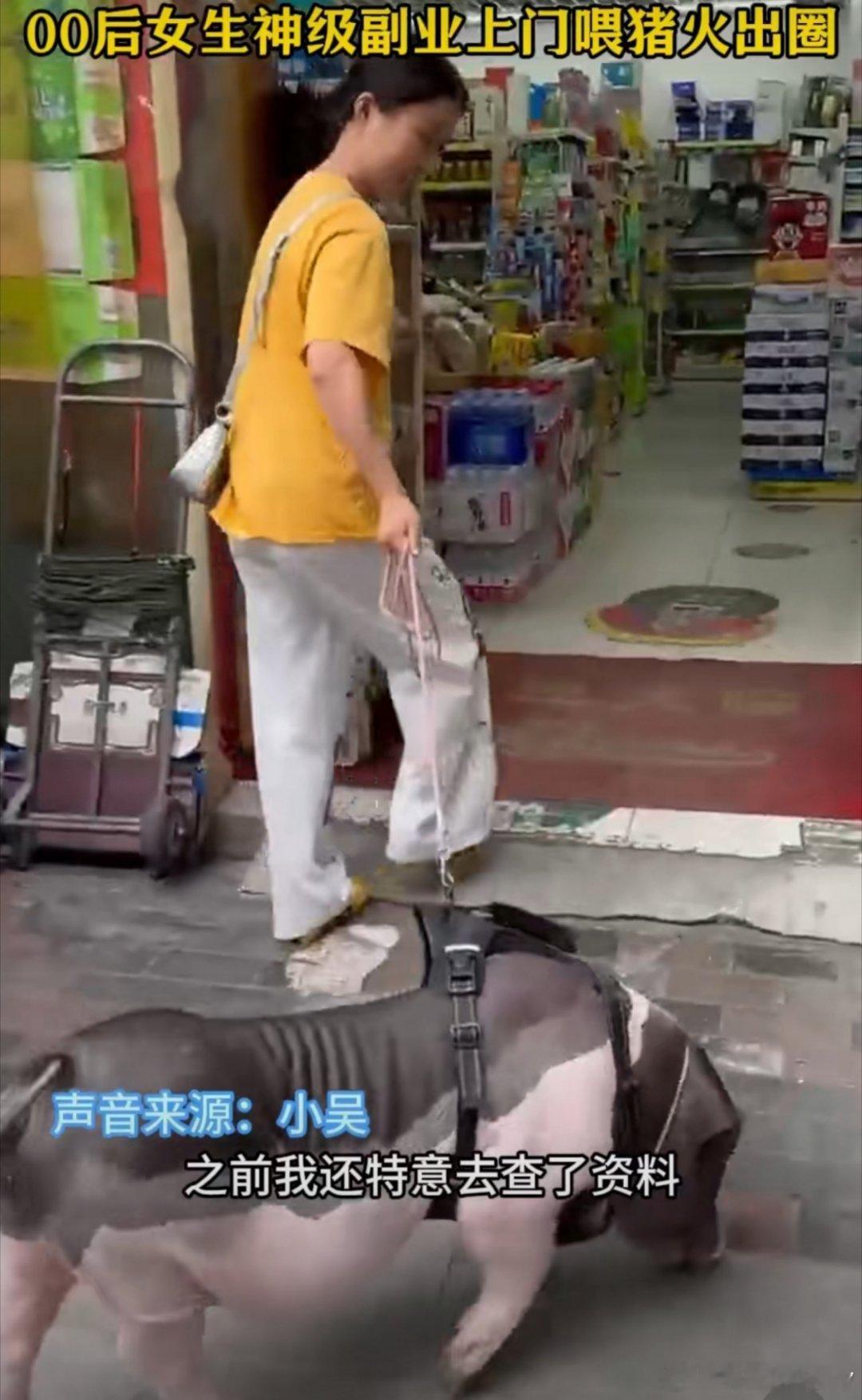 #00后女生神级副业上门喂猪火出圈#这个副业真是 “太有内味儿了”[笑而不语][