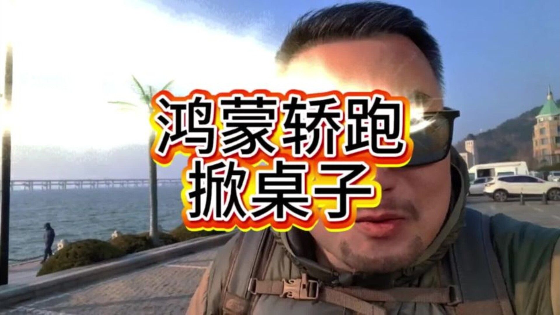 投票 你最想买的是轿车？轿跑？SUV还是MPV？#鸿蒙智行 #尚界Z7