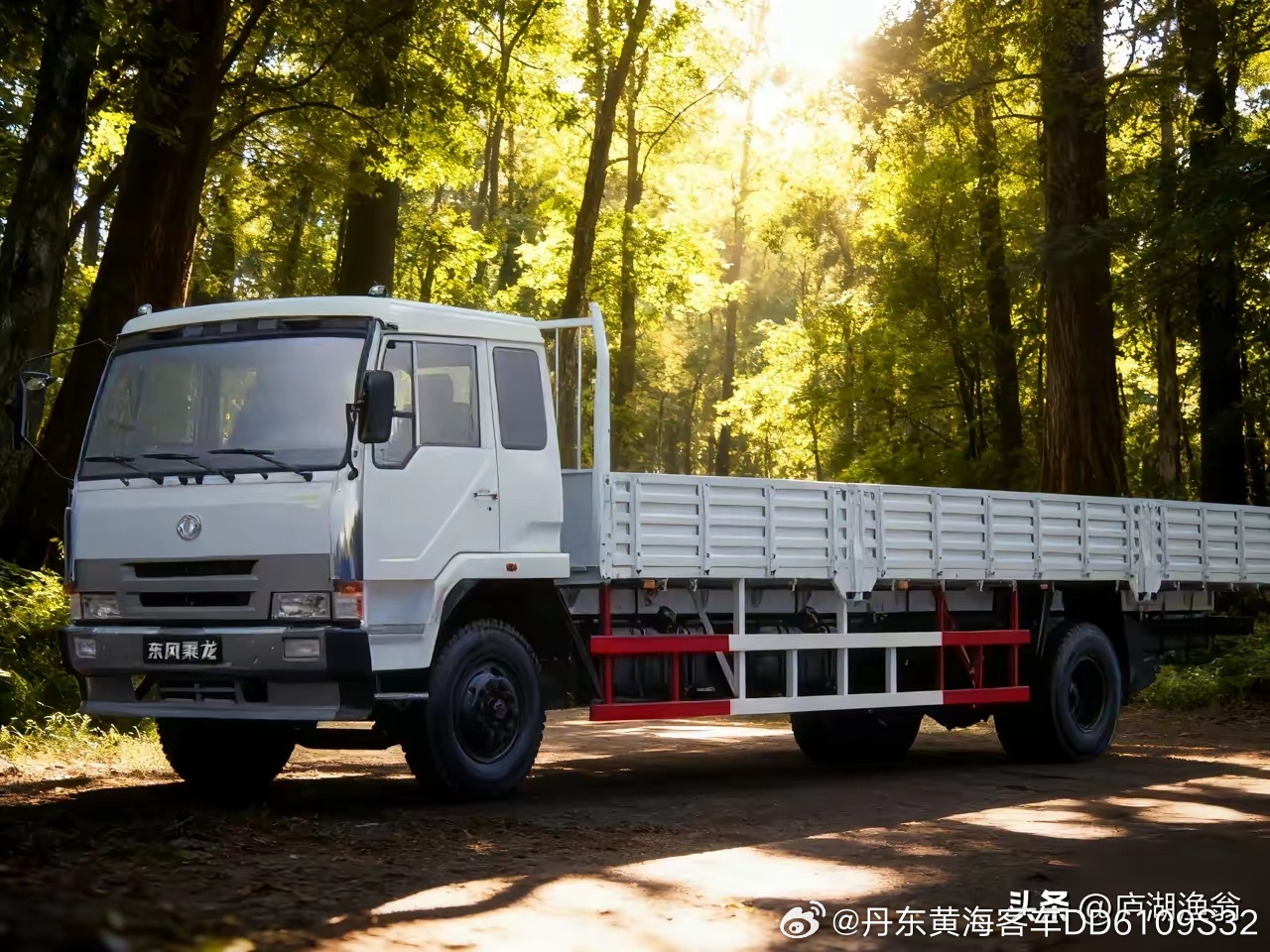 东风柳汽乘龙金满仓，中年司机中认识的人不少吧。该车是一款单桥载货汽车，挂双飞燕车