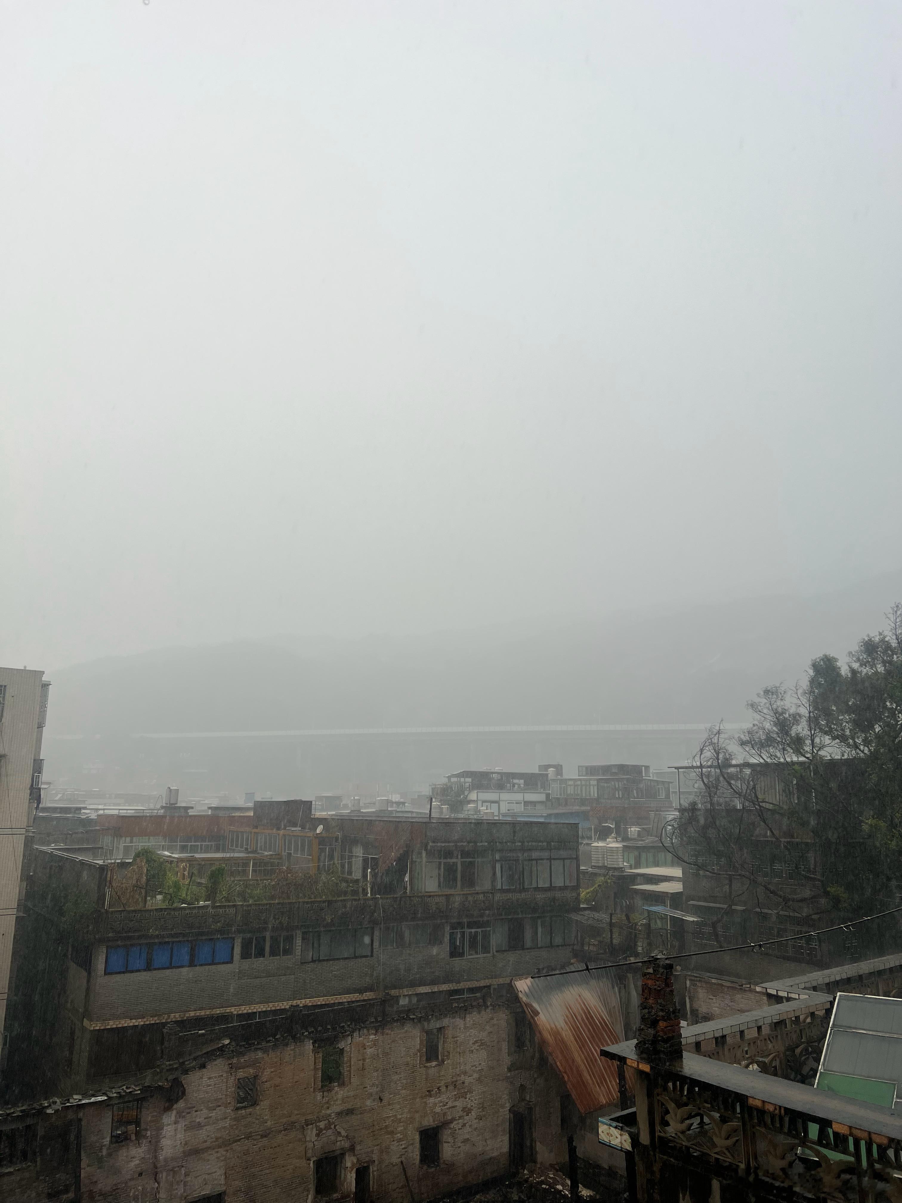 窗外台风裹挟暴雨，整个城区被白雾笼罩，正好躲在家里安安静静追剧，难得轻松时刻，你