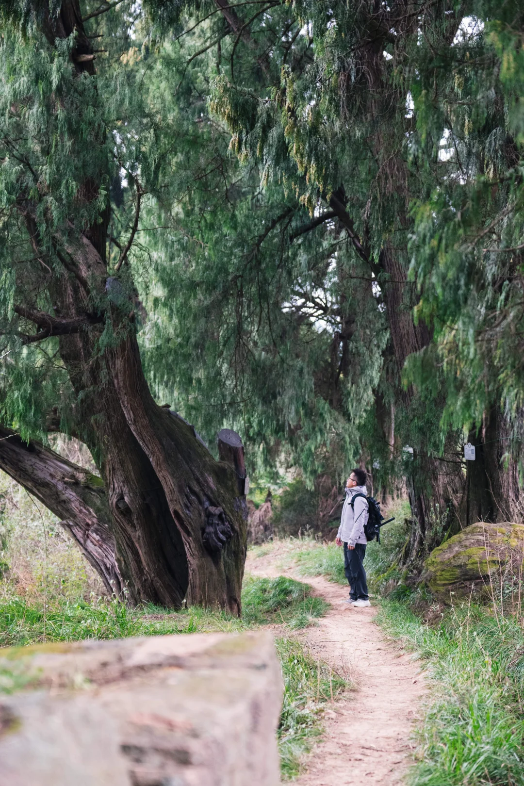 四次古蜀道之旅，剑廊古道到底有什么不一样