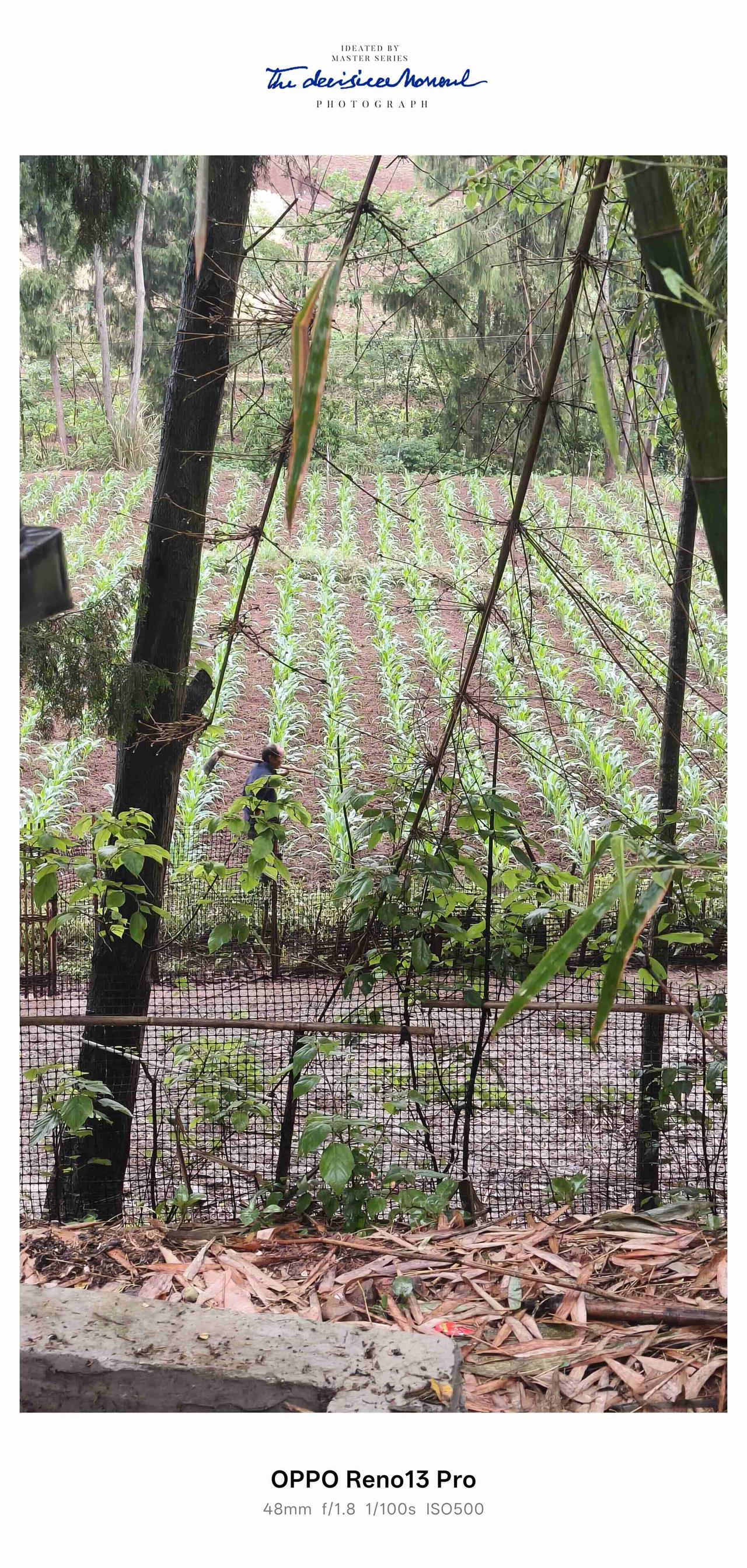 我的今日状态：😁轻松愉快
我这里的天气：🌧下雨
坐标：资阳市雁江区八粮堰🌿