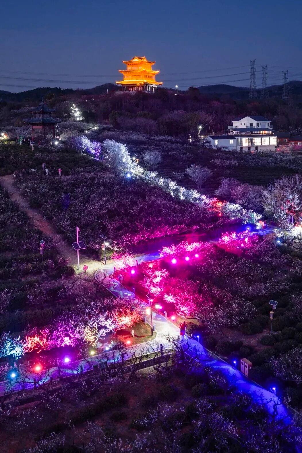 春节假期全国平均气温创新高最重要的原因，是今年春节太迟了！立春之后，气温肯定回升