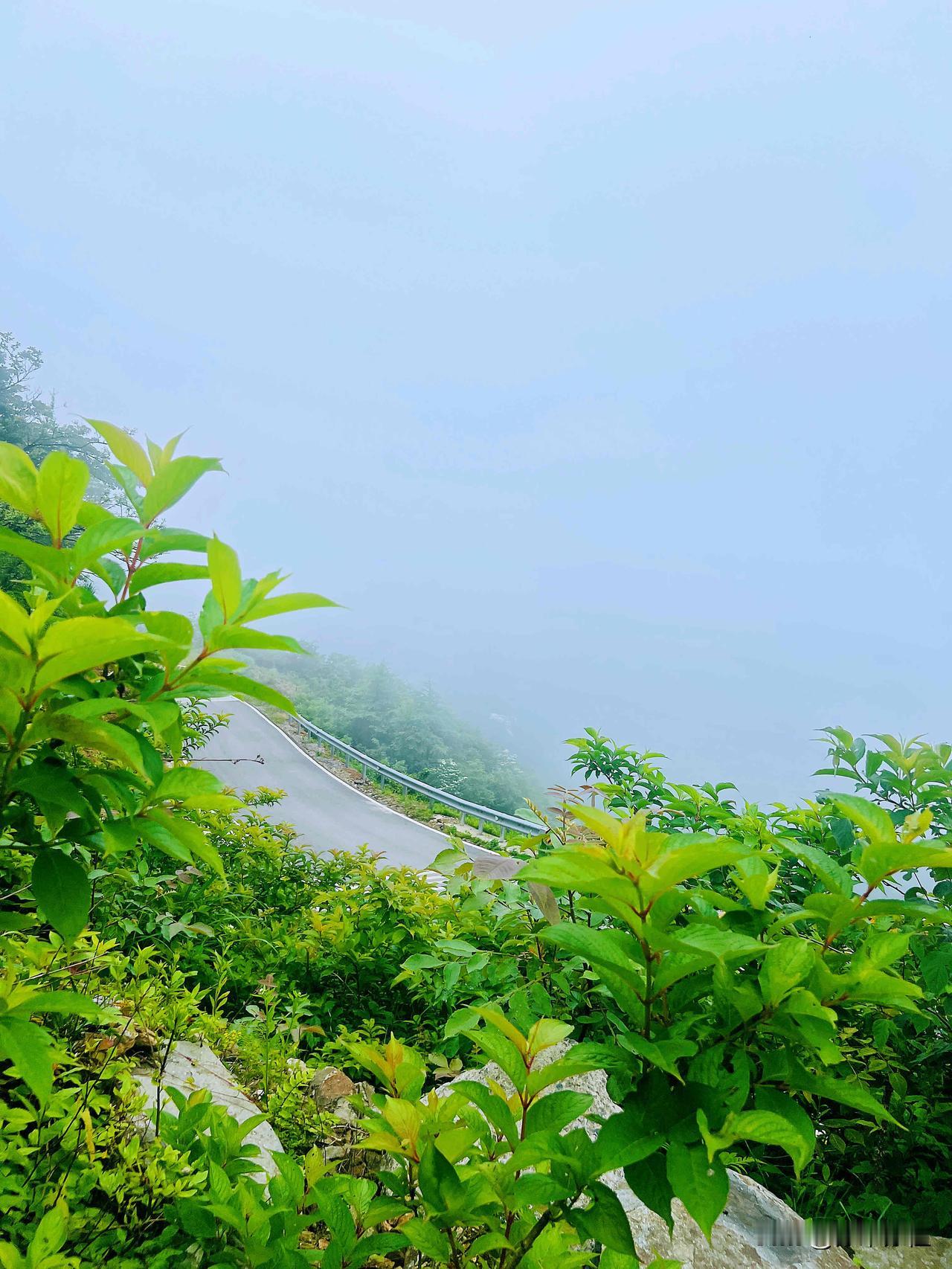 人至中年方悟，这世间最灵验的“玄学”并非求神拜佛，而是如何“旺自己”——这并非迷