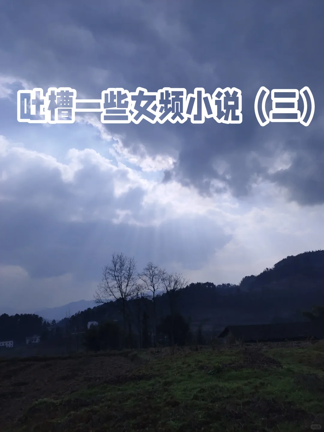 吐槽一些女频小说（三）