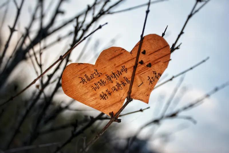 生活就像一场未知的冒险，没有彩排，每天都是现场直播。别总抱怨日子平淡，那是因为你