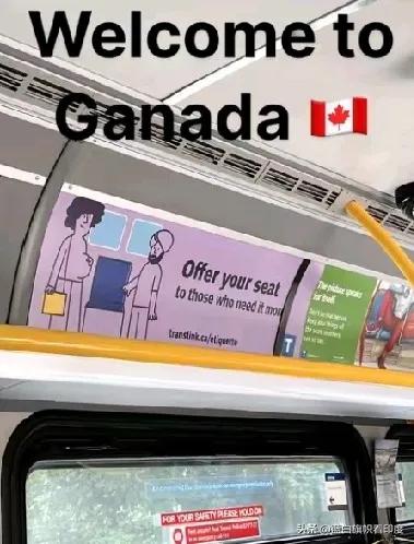 加拿大人终于咂摸出味儿来了，再不把闸门拧紧，枫叶国就要改名叫印拿大了。移民局刚给