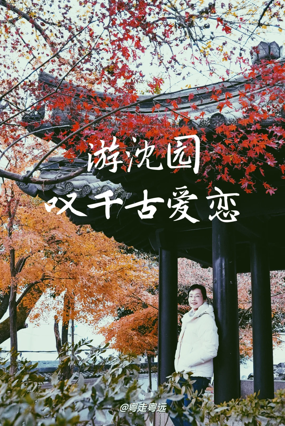 游绍兴沈园 感陆游唐琬爱恋悲喜 叹岁月情长