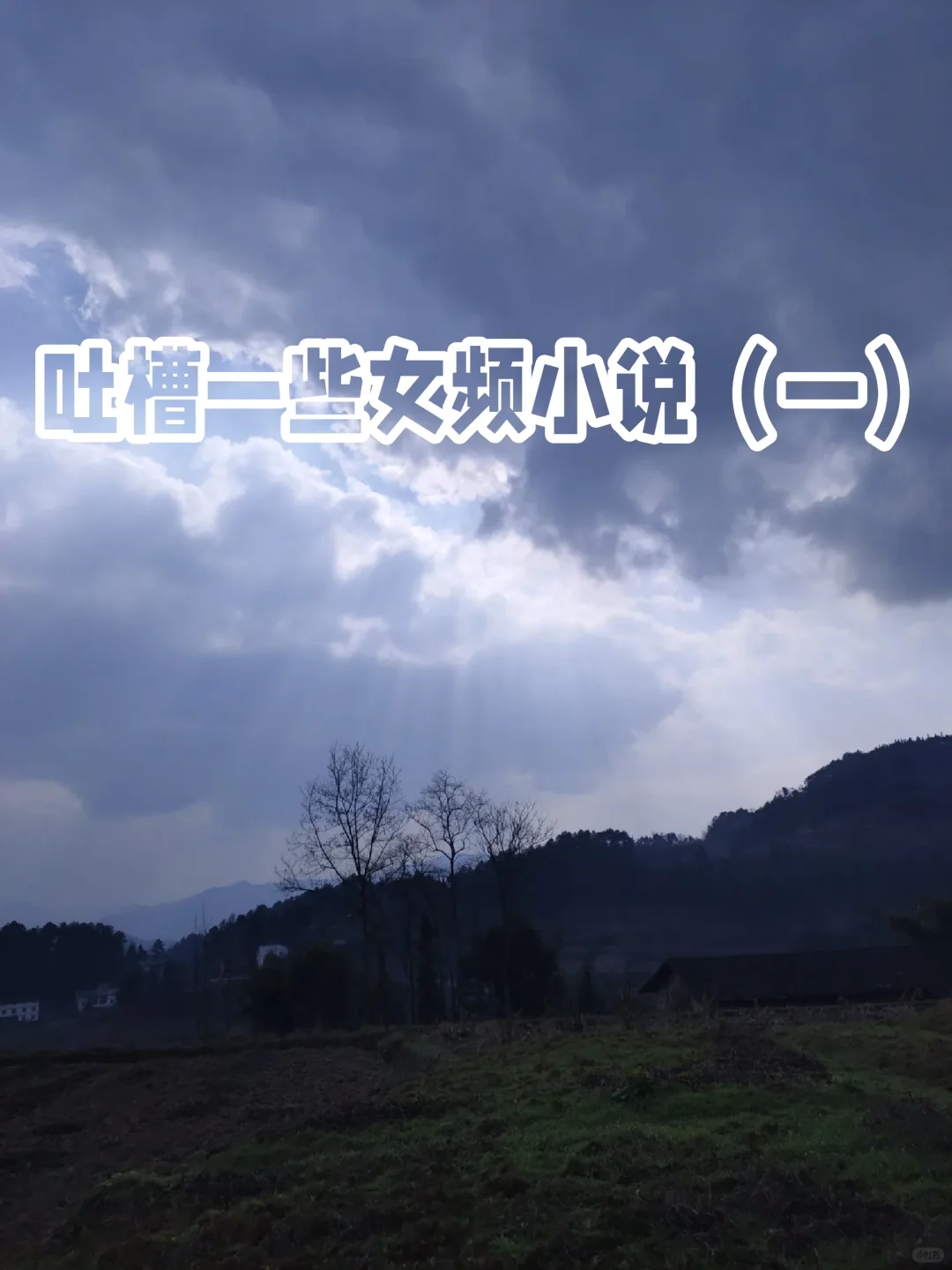 吐槽一些女频小说（一）