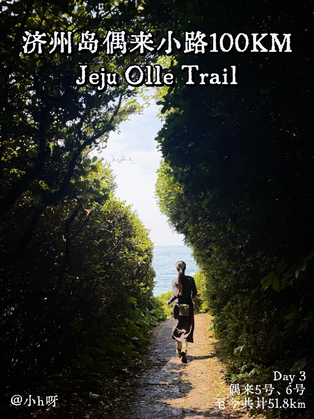 Olle100KM📒济州岛偶来小路5号&6号徒步攻略