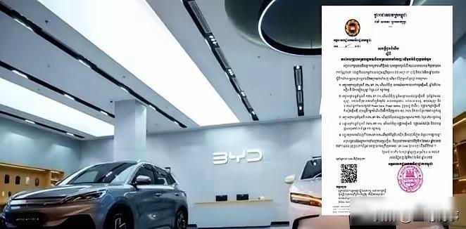 柬埔寨电动车狂欢夜？充电站瘫痪？司机算账发现省了钱却用不上
柬埔寨突宣电动车免税