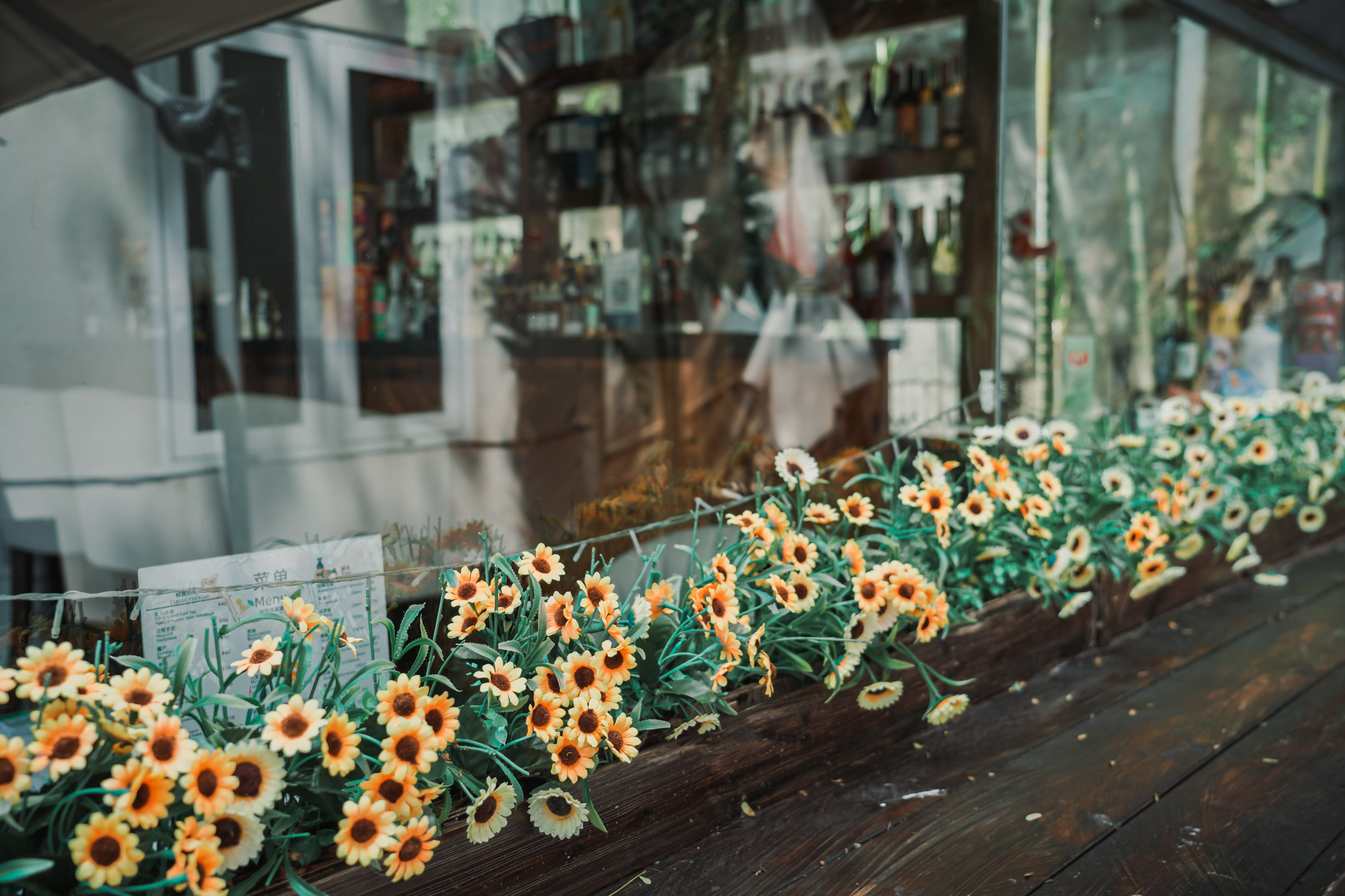 在琼B的生活里随意走走 