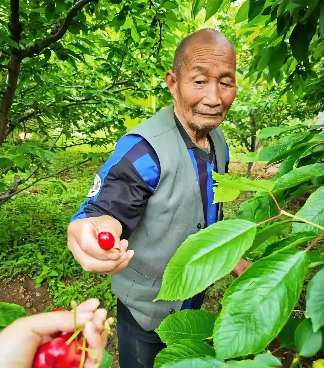 人的寿命真是奇怪！
我大舅和二舅是亲兄弟，大舅是医生，二舅是农民，我大舅甚至当上