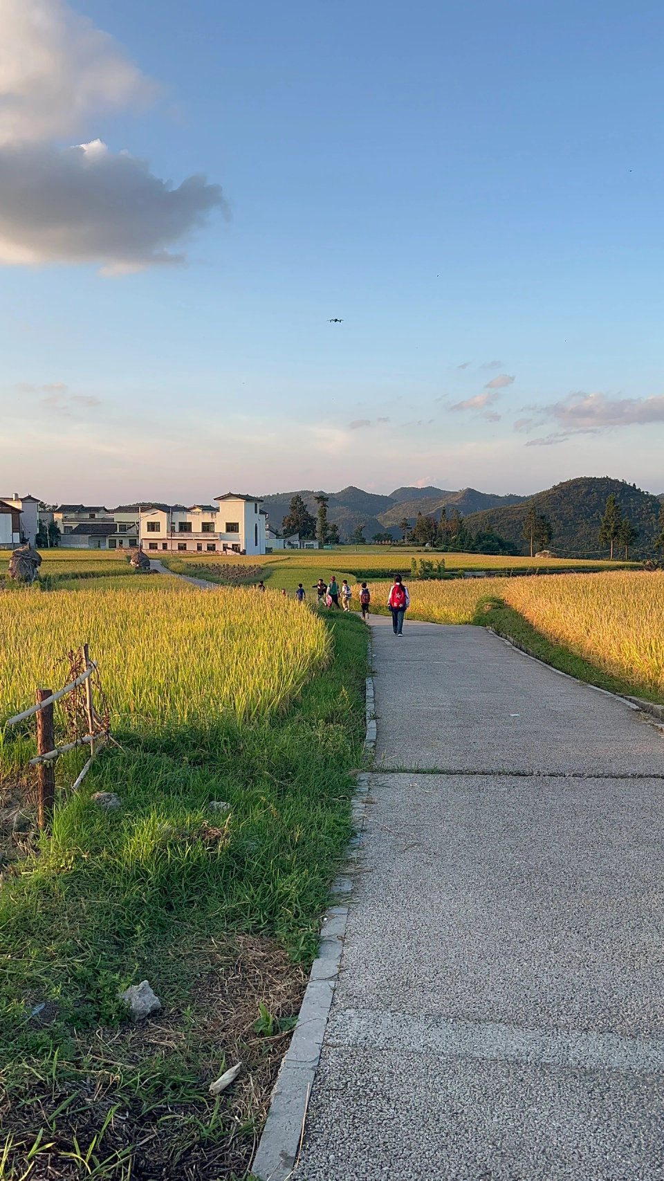 袅袅炊烟，田间小路，是许多人心里所向往和欣喜的画面，然而，在工业和科技高度发达的