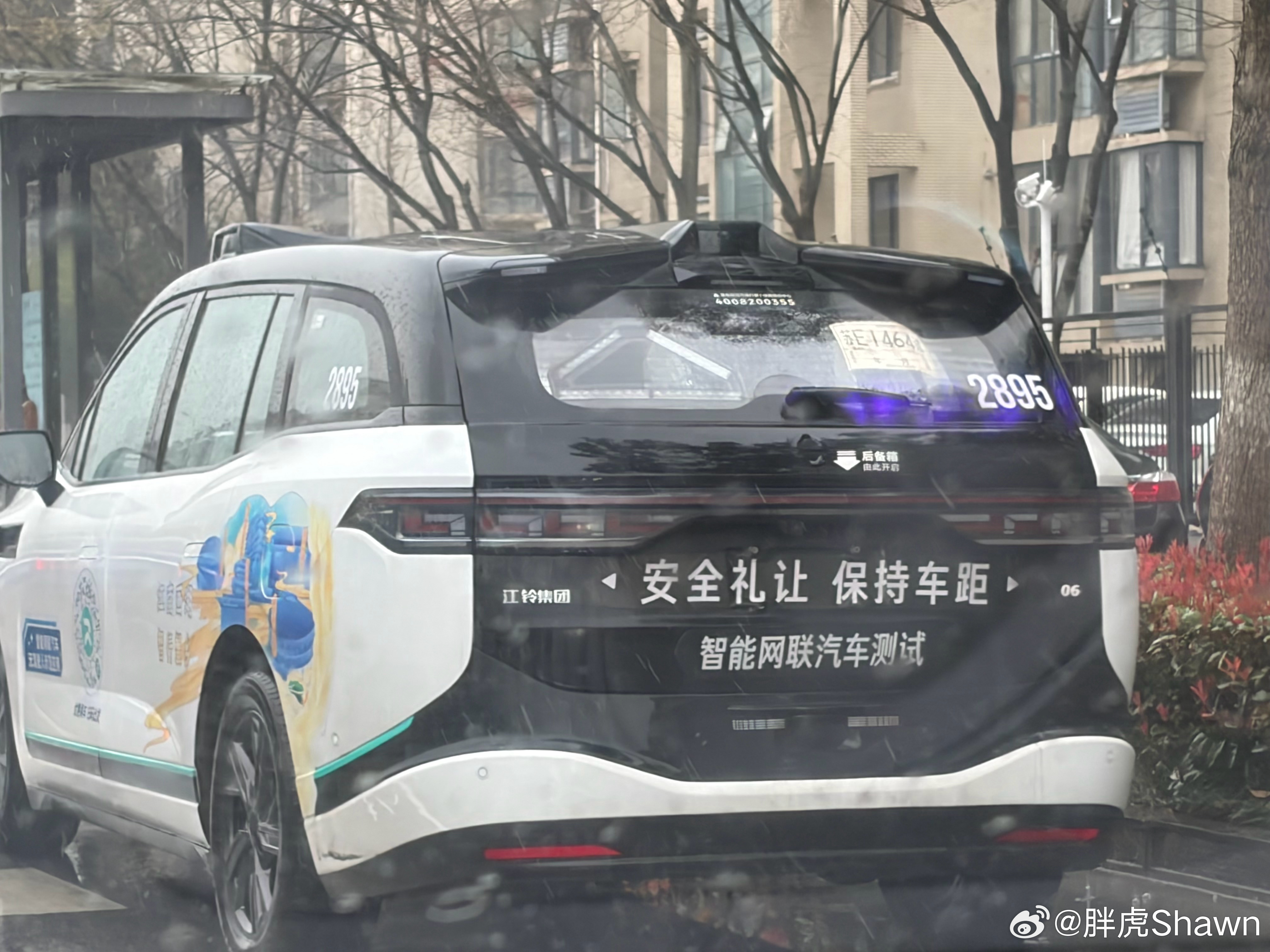 家门口的萝卜越来越多了