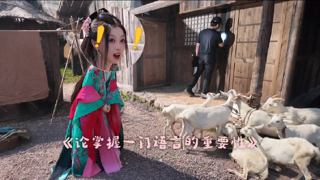 每周盼点 这周记录海皇何盼@虞书欣Esther 在陆地的一段奇遇！不愧是海皇啊，和羊对话可难不倒她没