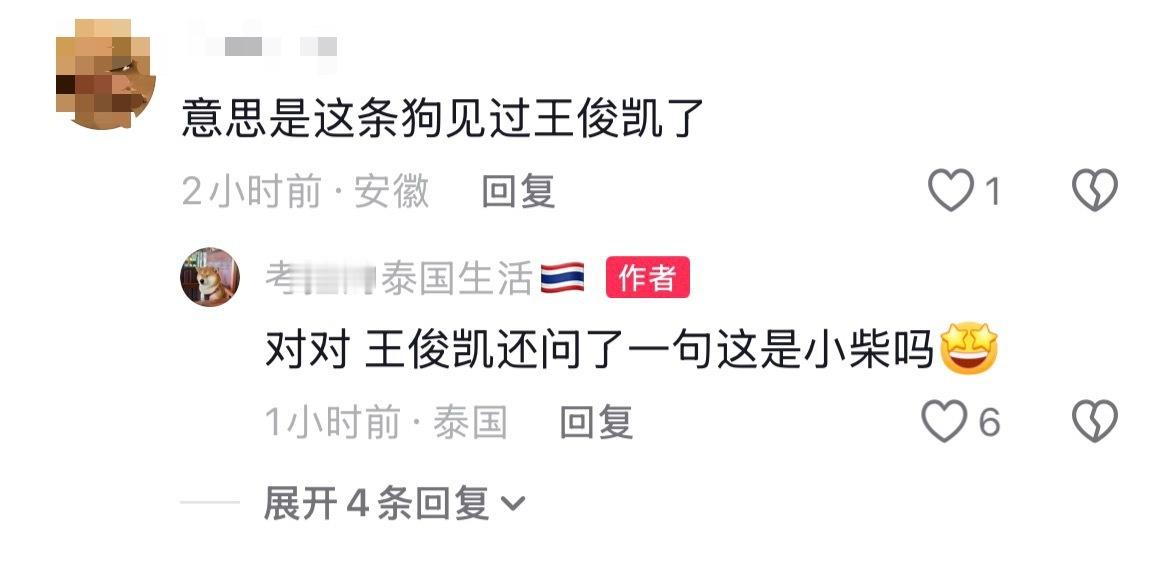 我要笑丝了，中文博大精深 小凯还问这是不是小柴王俊凯 中餐厅10