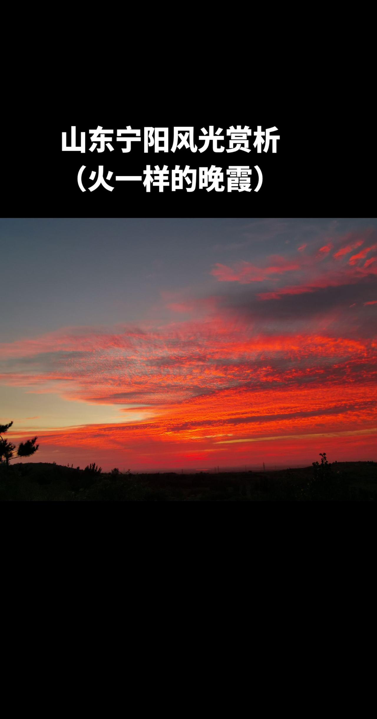 #老家#宁阳#泰安#风景#山东