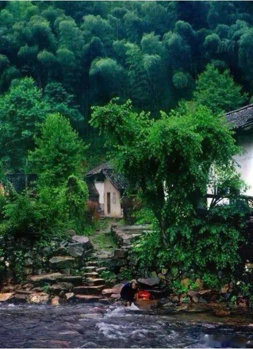 看清褶皱，守住微光·默斋主人原创社会现实类杂文有些真相，本就带着血。藏在日常的缝