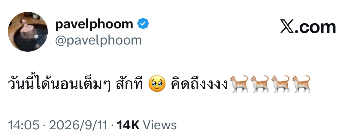 帕：今天终于睡了个饱觉 想念🐈🐈🐈🐈 ​​​