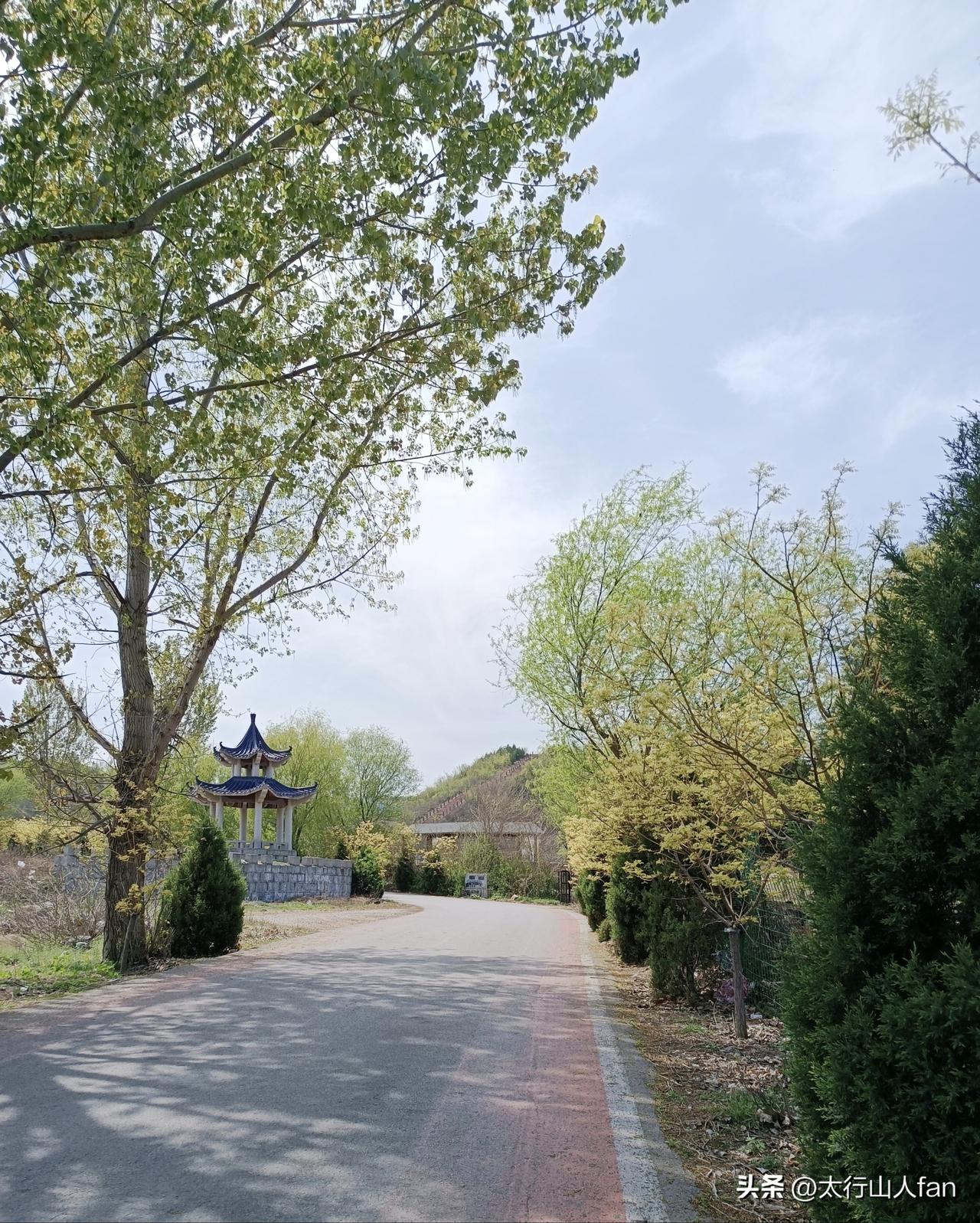 山间小路与古风亭台
——山路蜿蜒伸向林间，浅嫩新叶铺满两侧，黛瓦凉亭静卧路边，远