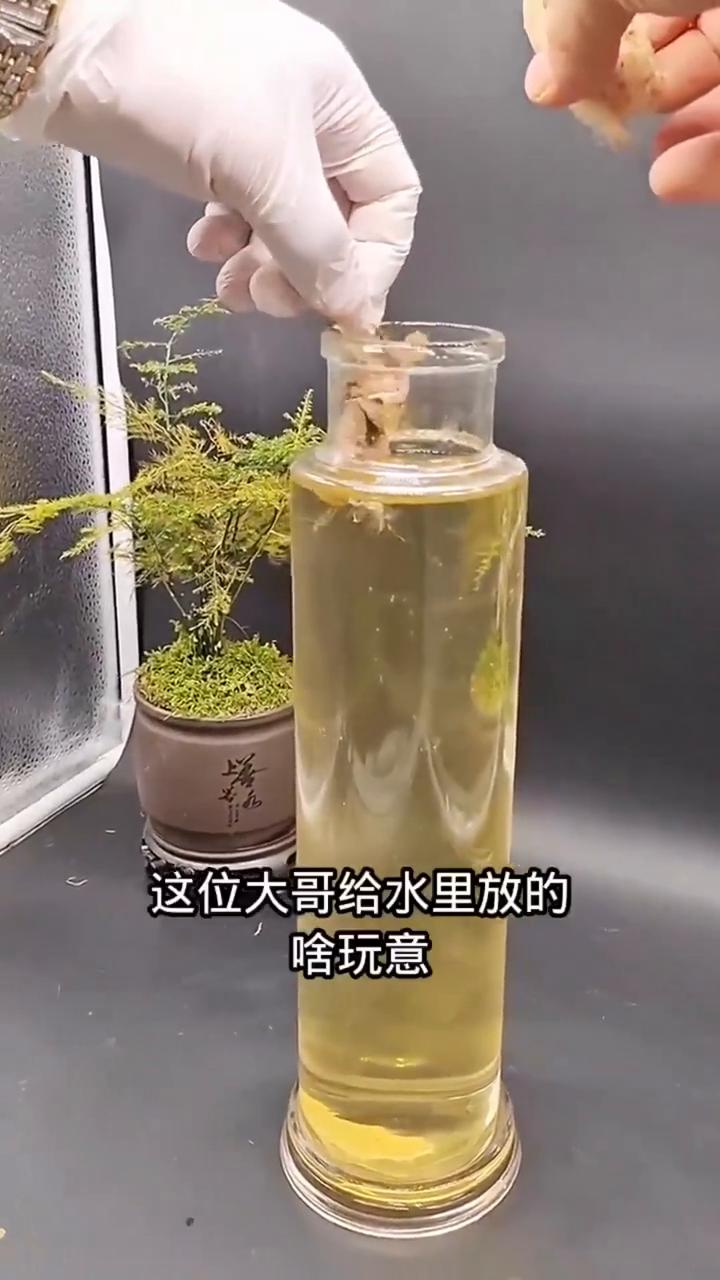 给水里放的啥玩意还吐白雾？
这真的是不看不知道，一看吓一跳。这位大哥给水里放的啥