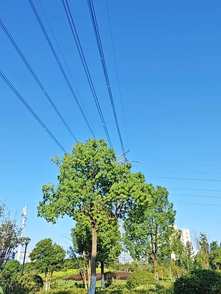 ICU住7天，花光20年积蓄！65岁大爷临终哭诉：养生，才是晚年最大的省钱

人